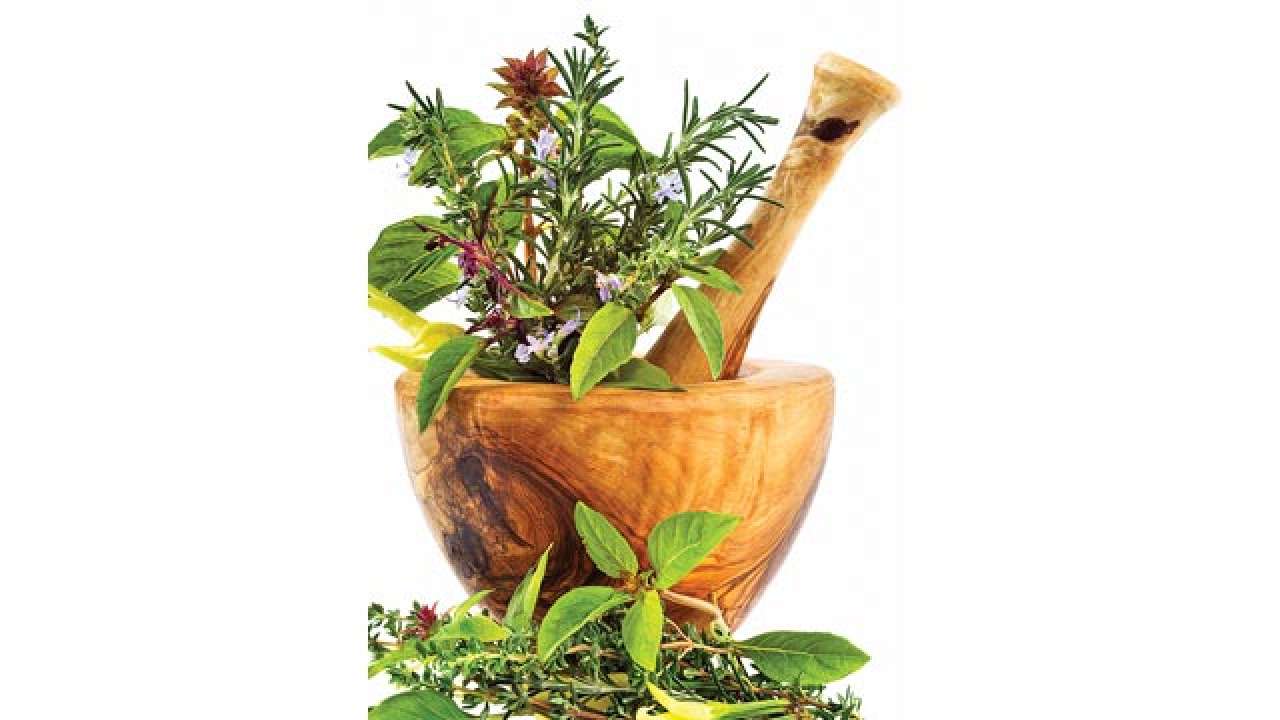 Ayurvedic Consultant
